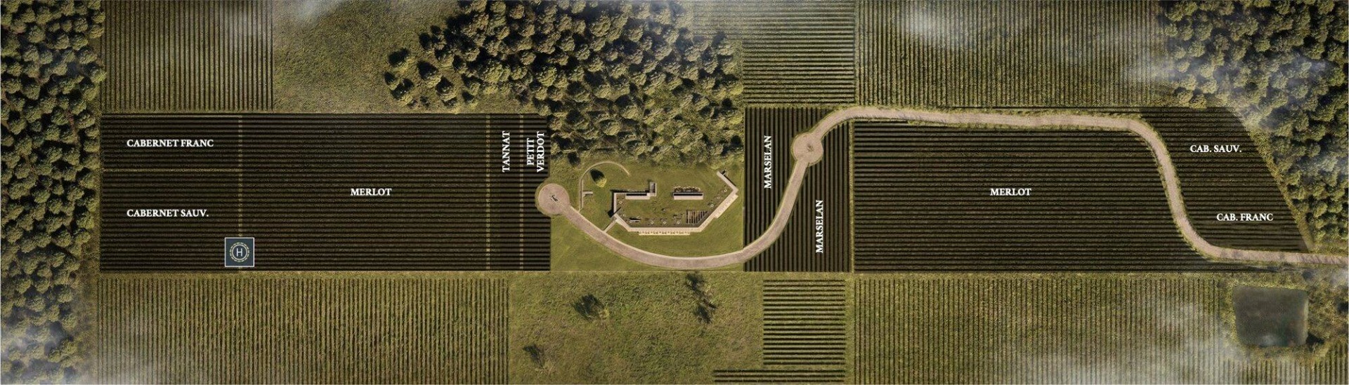 Parcelas dedicadas al proyecto RARO en el Vale dos Vinhedos